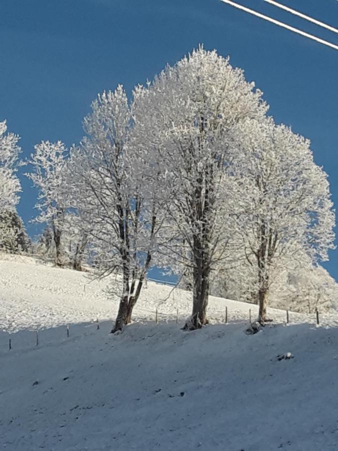 Bergpension-Ebental บริกเซินอิมทาเล ภายนอก รูปภาพ