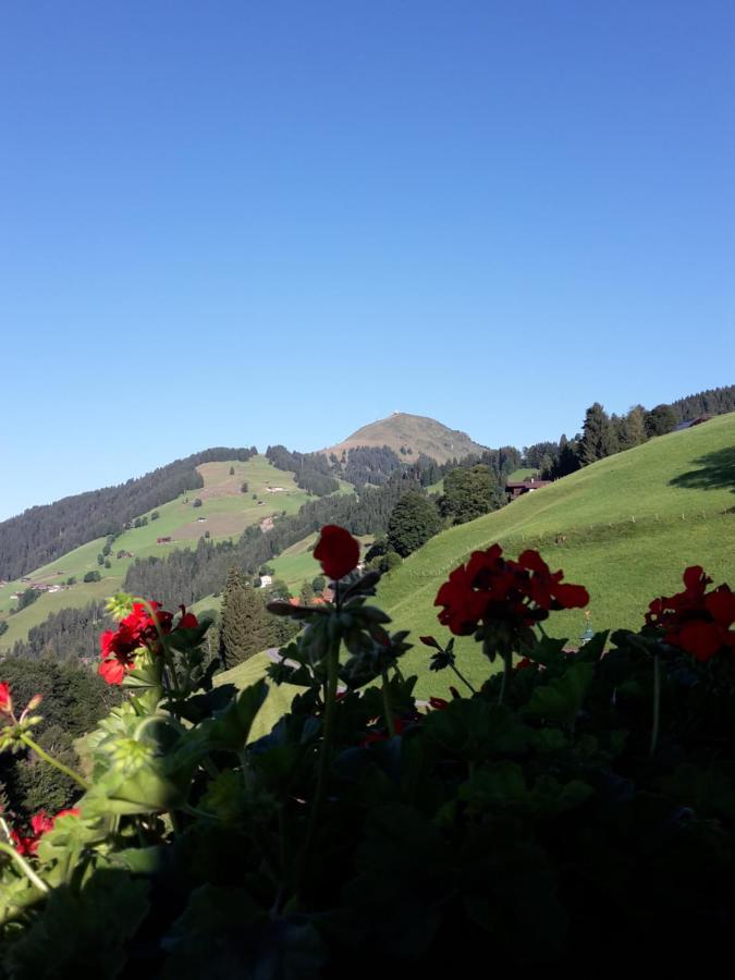 Bergpension-Ebental บริกเซินอิมทาเล ภายนอก รูปภาพ