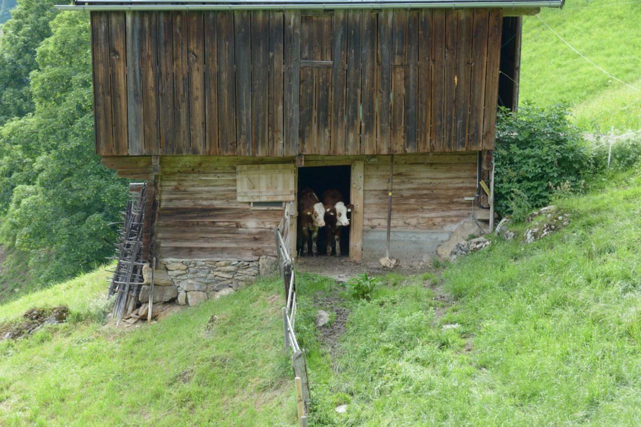 Bergpension-Ebental บริกเซินอิมทาเล ภายนอก รูปภาพ